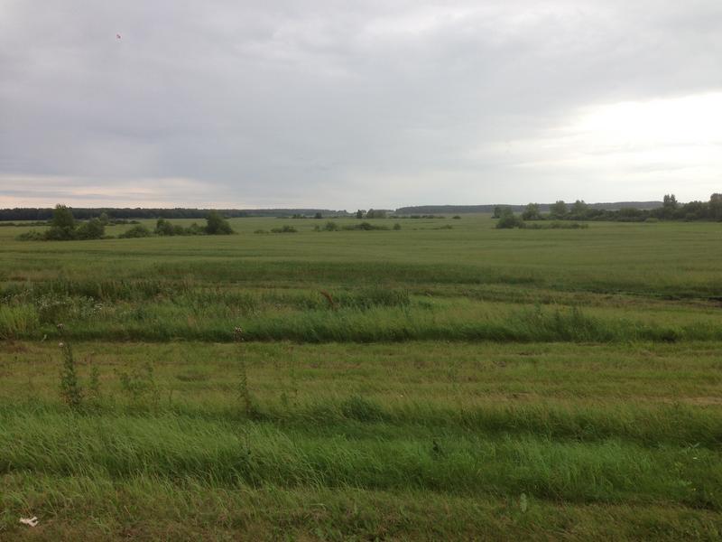 [+55.521236 +53.704053]