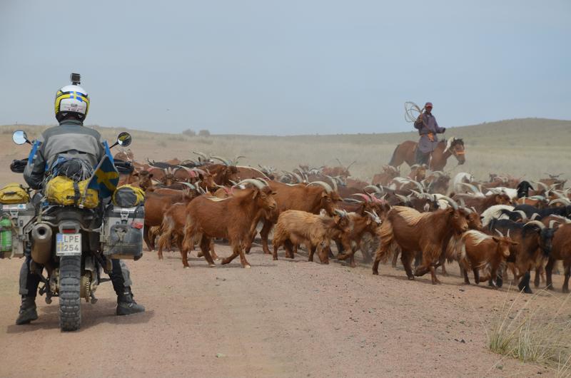 [+48.602744 +92.063564]