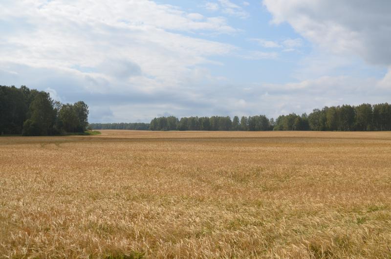 [+55.933036 +87.351558]