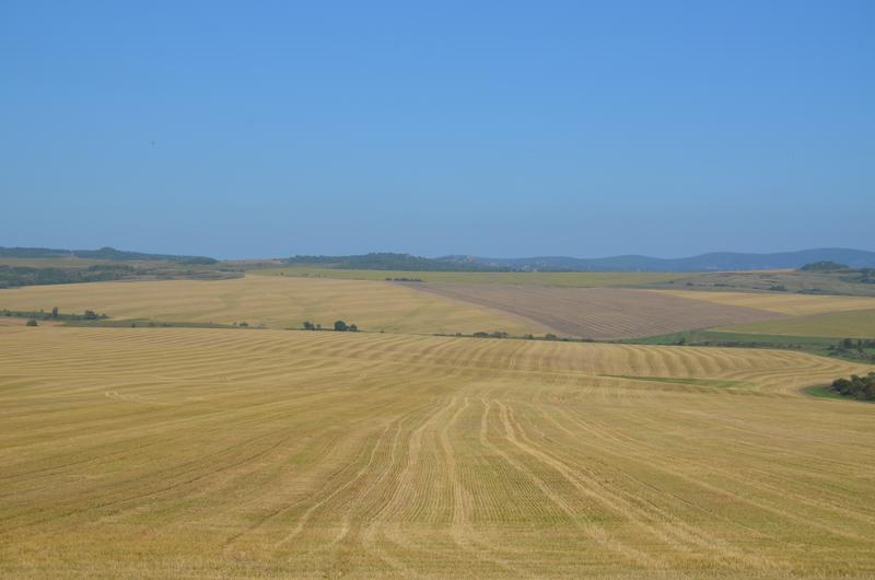 [+51.243922 +82.162969]