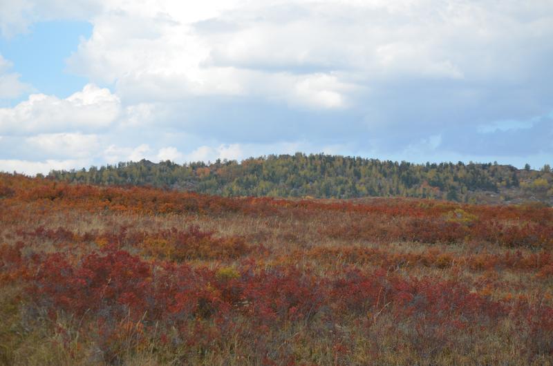 [+49.274683 +83.139247]