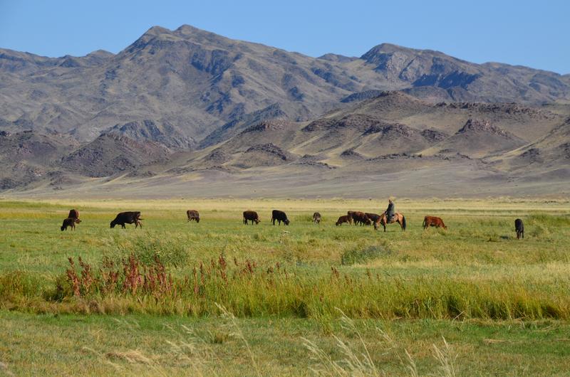 [+44.284403 +79.345689]