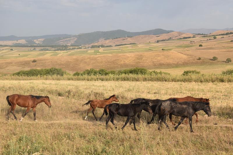 [+41.172592 +73.375203]