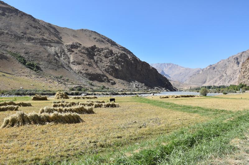 [+36.996900 +71.470700]