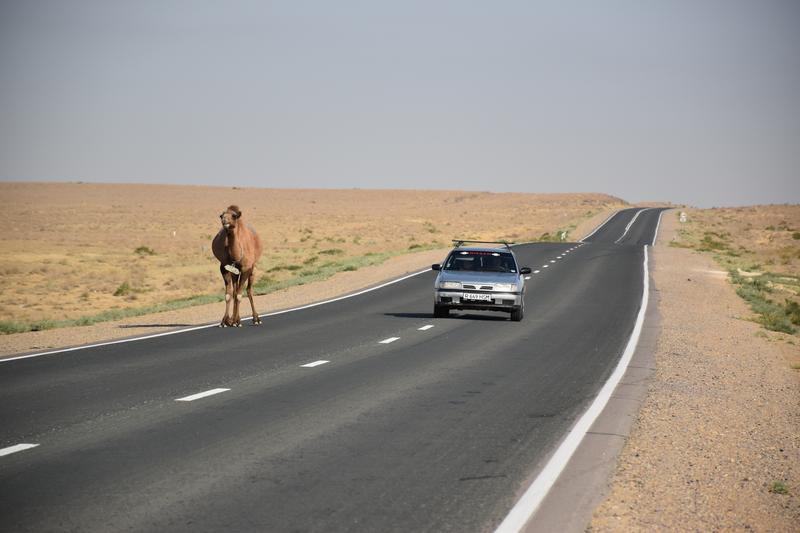 [+45.389544 +55.133211]