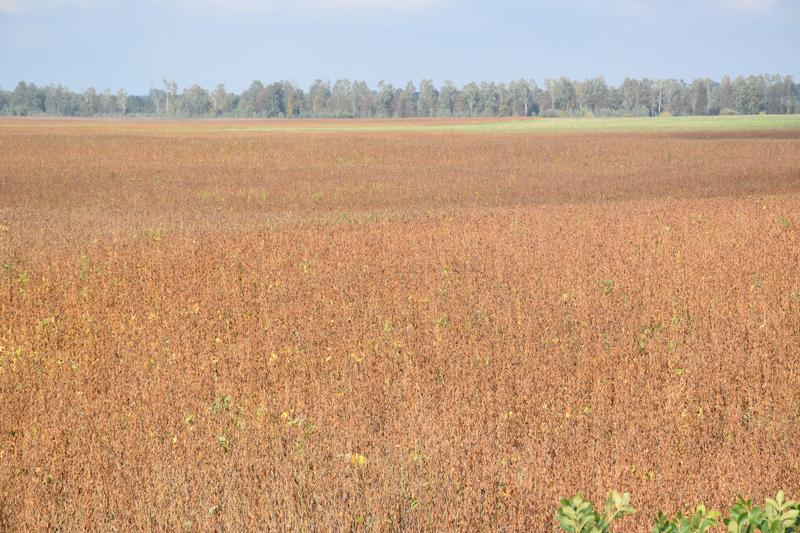 [+51.213614 +24.308997]